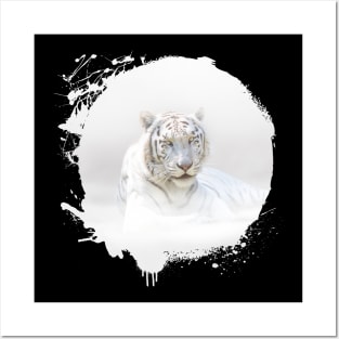 White Tiger Animal Wildlife Jungle Nature Adventure Hunt Mist Posters and Art